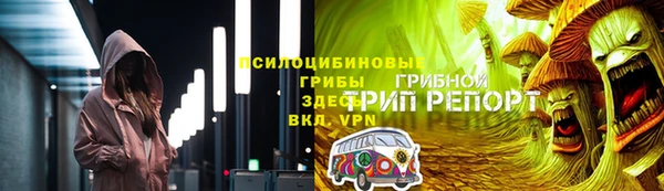 гашик Ладушкин