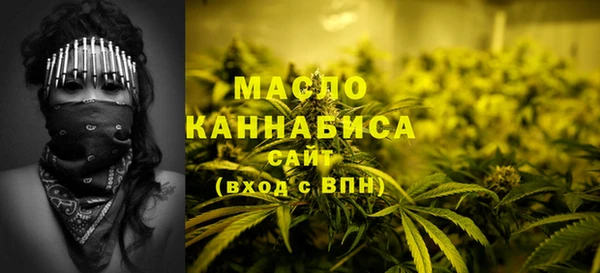 гашик Ладушкин