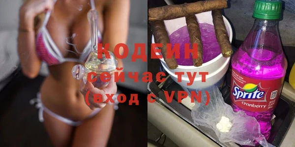 гашик Ладушкин