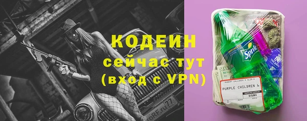 гашик Ладушкин