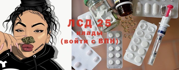 стаф Липки