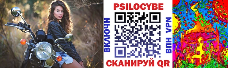 Псилоцибиновые грибы Cubensis  купить наркоту  Шагонар 